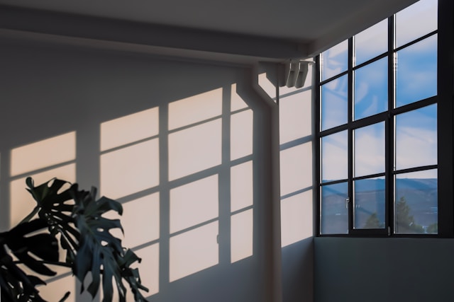 The Impact of Window Placement on Natural Lighting